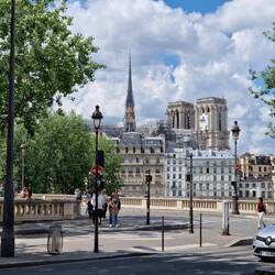 Notre Dame in Renovation
