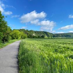 … in der Nähe von Gundelshausen …