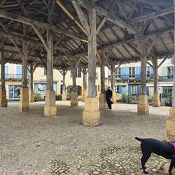 Niska enjoyed exploring the market hall