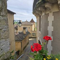 Pretty views whilst walking around the street