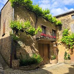 Plenty of flowers and greenery