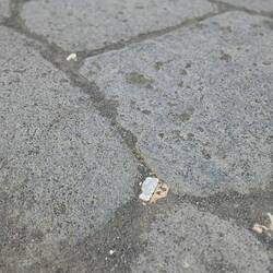 These relective stones were put in the streets to reflect at night.