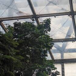 Die Faultiere sahen wir zwei mal, an der Decke...