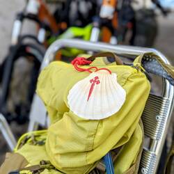 Joanne took a great photo of my Camino shell