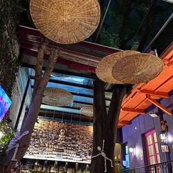 Trees grow through the ceiling/roof.