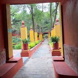 Gardens behind Fonoteca Nacional