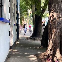 Yes, she is wearing a cow costume