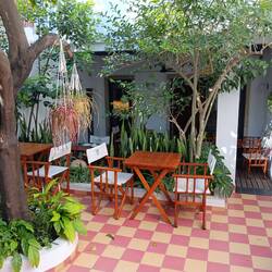 Courtyard at the Lemon Tree BnB