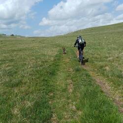 Da macht das gahren Spaß