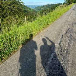 Zwei Schatten bestaunen den Weissenstein..
