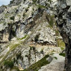 Picos de Europa
