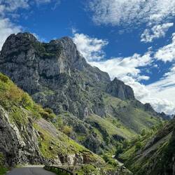 Picos de Europa