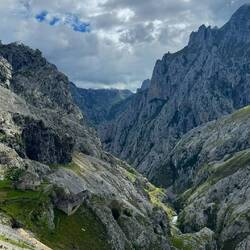 Picos de Europa