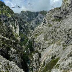 Picos de Europa