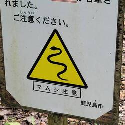 Ui, jetzt wirds aber wirklich gefährlich 🫣