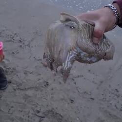 Gefangene Sepia 🫣