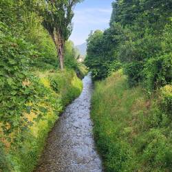 Torrente Lucese