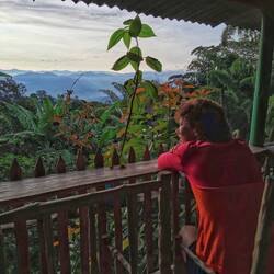 Blick morgens von der Terrasse