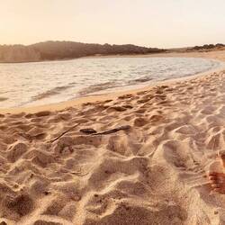 Den schönen Tag bis zur letzten Minute genossen 🌅🙏🏽