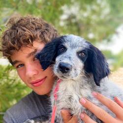 Ein Herz und eine Seele 🐶🥰❤️