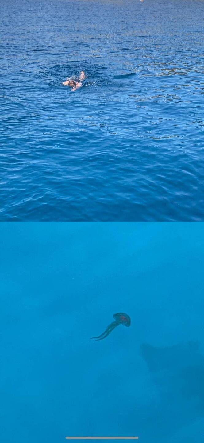 Schwimmen bevor die Quallen kamen