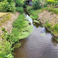 Am Pilgerweg via Baltica