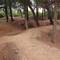 Remains of Anzac trenches