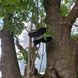 Goodbye, my friends! 👋