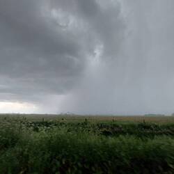 Während des Gewitters... Wolkensturz!