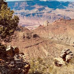 Navajo Point