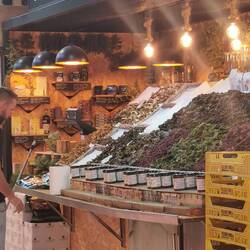 Hier gibt es nur Pilze und verschiedene Algen!