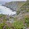 See that blue dot? That is Charlie descending the cliffside