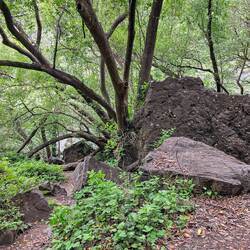 Lots of boulders to scamper over and around