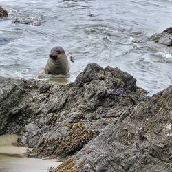 Very few were swimming