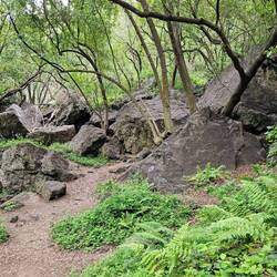 Our scenic little hike to Salmon Creek Falls