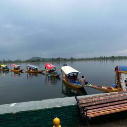 Der Dal Lake ist groß und es war Pfingsten (wusste aber Niemand)