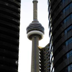 The CN tower