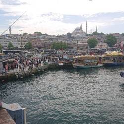 The many fishermen were getting a good catch