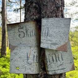 Ein besonderes Zeitzeugnis.