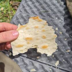 does anyone else see australia here?