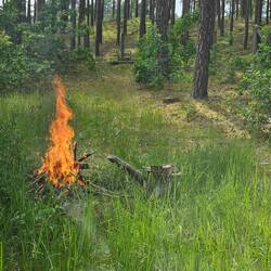 Zum Abschluss ein Gläschen 🍷 und ein 🔥