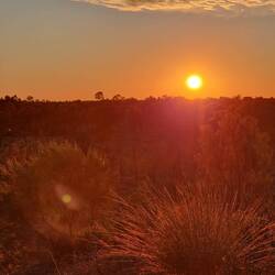 Sonnenaufgang auf dem 2,5 stündigen Marsch um den Uluru