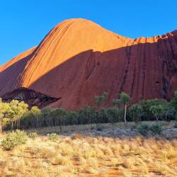 könnt ihr den Walkopf erkennen..?