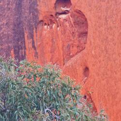 seht ihr den Engel...?