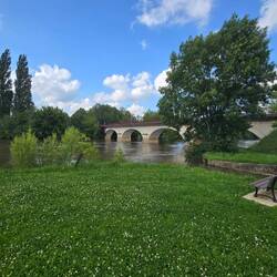 View of the bridge from the picnic place