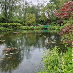 der Teich