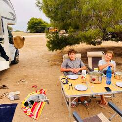 Mikosch weicht uns nicht mehr von der Seite 🫶🏼🥰🐶