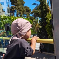 Weiter ging es mit der Bustour und einem Fensterplatz