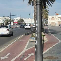 So eine Trennung fände ich insgesamt angenehm - nicht nur für Palmen 😉