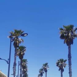 Es macht sehr viel Spaß, hier Slalom um die Palmen und Laternen zu radeln!